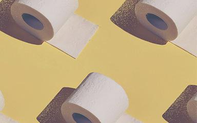 Rolls of toilet paper on a yellow background.